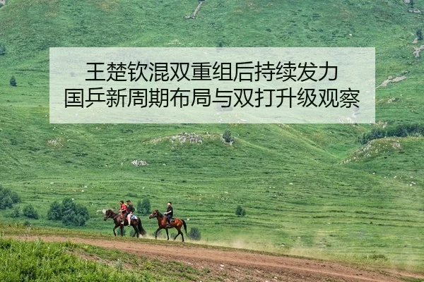 王楚钦混双重组后持续发力 国乒新周期布局与双打升级观察